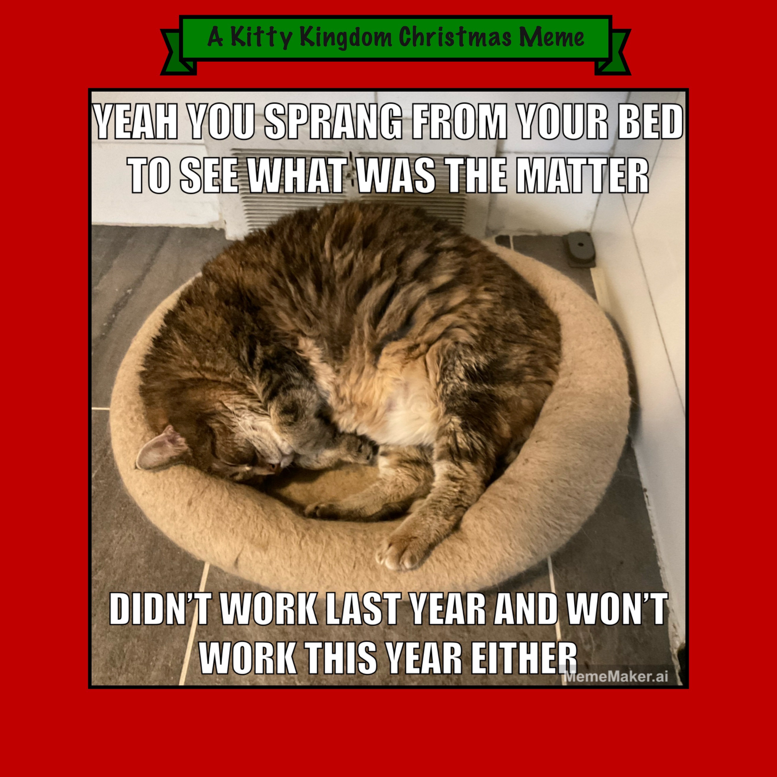 Countdown to Christmas in the Kitty Kingdom: Meme #16 (OC)