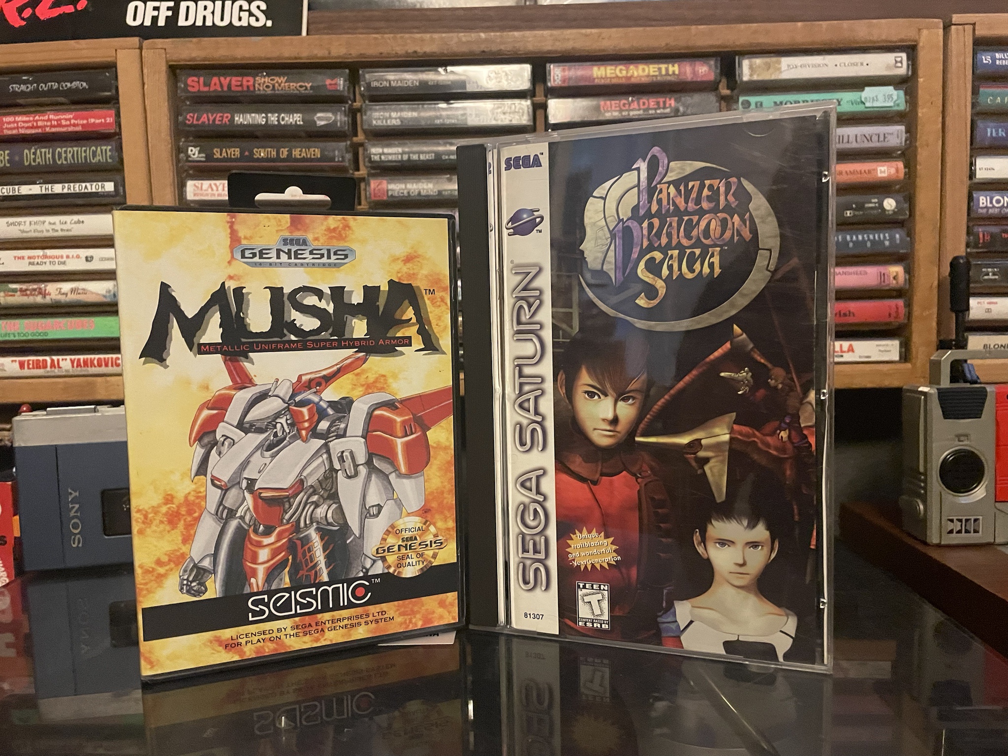 Epic Adventures in Musha and Panzer Dragoon Saga