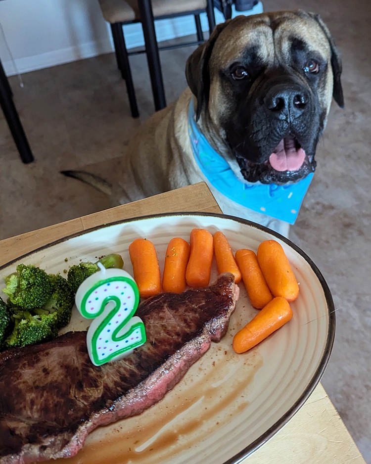 Celebrating Lobster's 2nd Birthday with a Steak Feast!