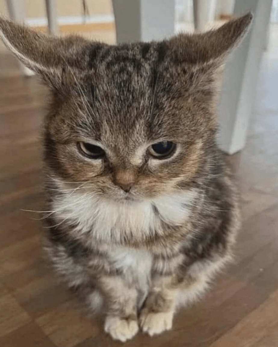 Aww, that's just too cute!