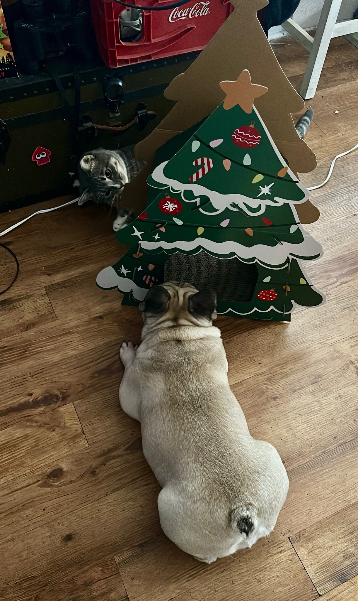 Bubbles and Lucas Wish You a Merry Christmas!