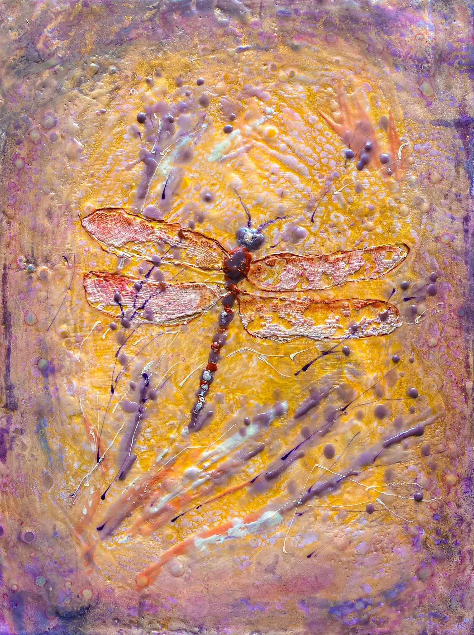 The Graceful Dragonfly in Action