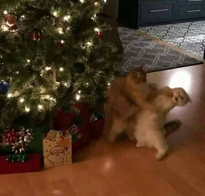 The True Spirit of Christmas Revealed