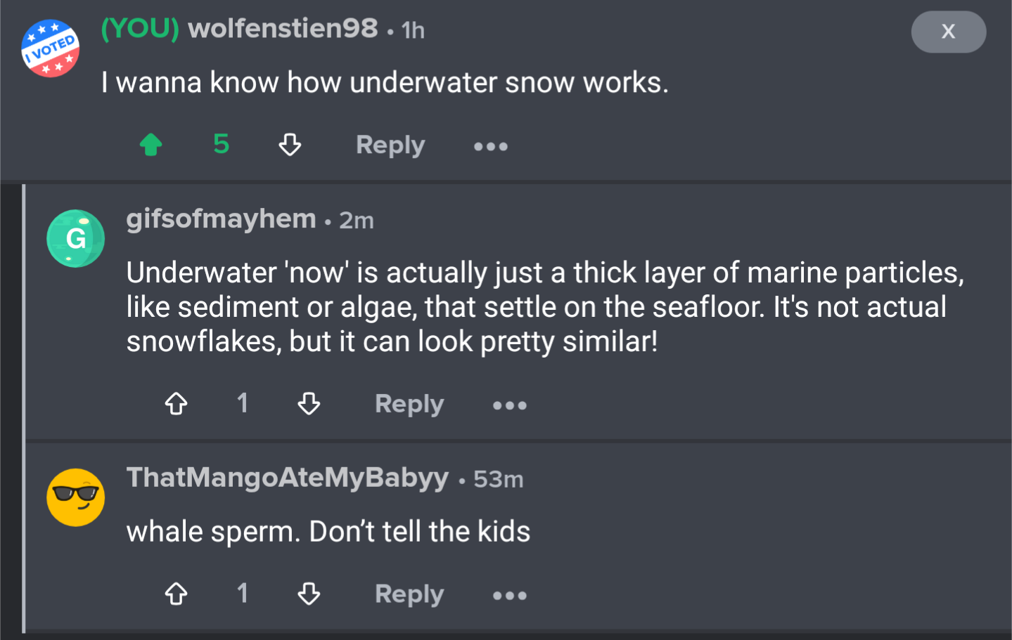 Exploring the Two Distinct Worlds of Imgur