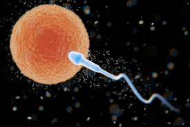 Throwback to My Younger Days Captured in This Selfie!