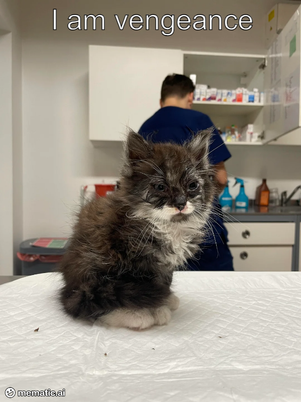 Adorably Angry Vibes
