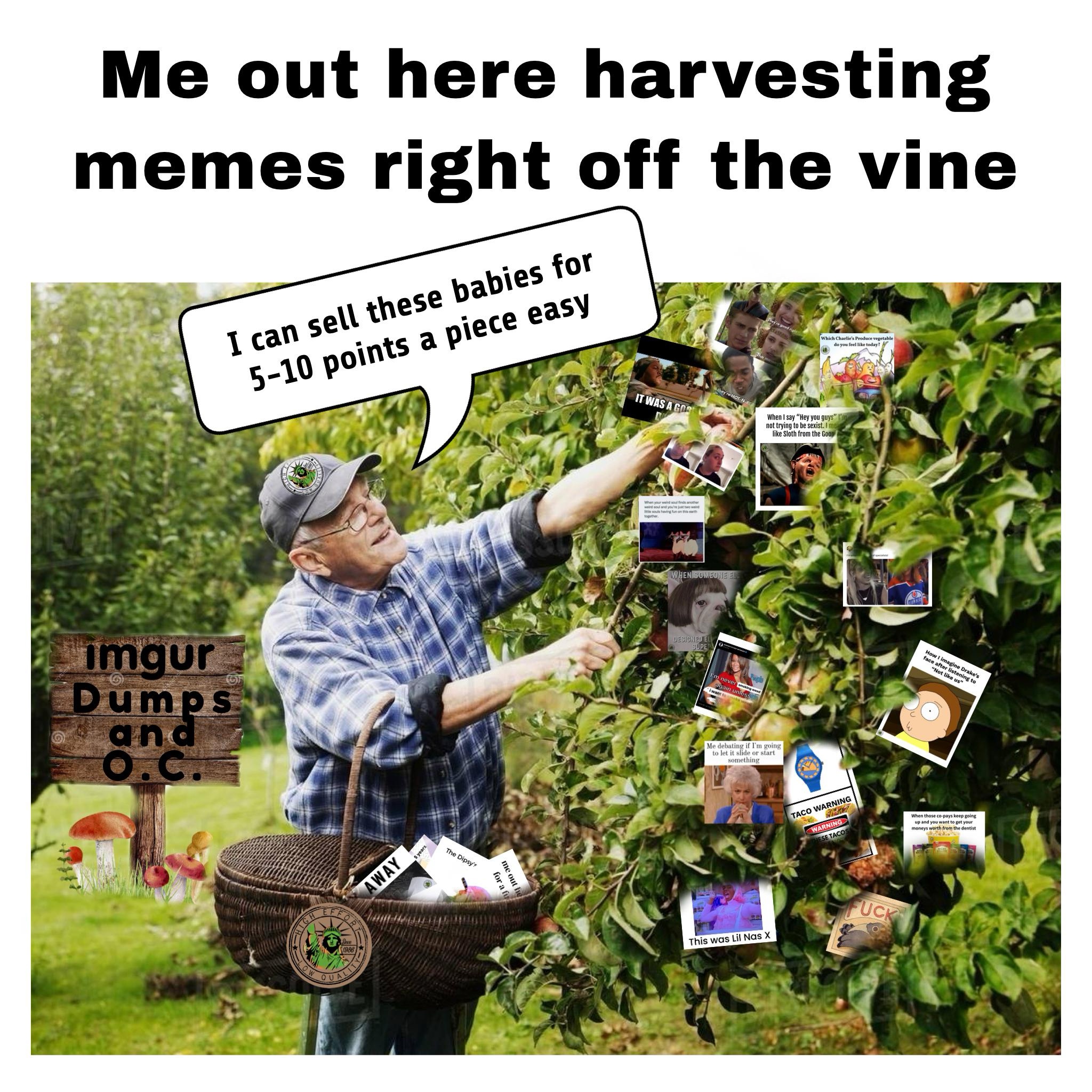 Curious Minds Want to Know: Where Do You Find Your Memes?