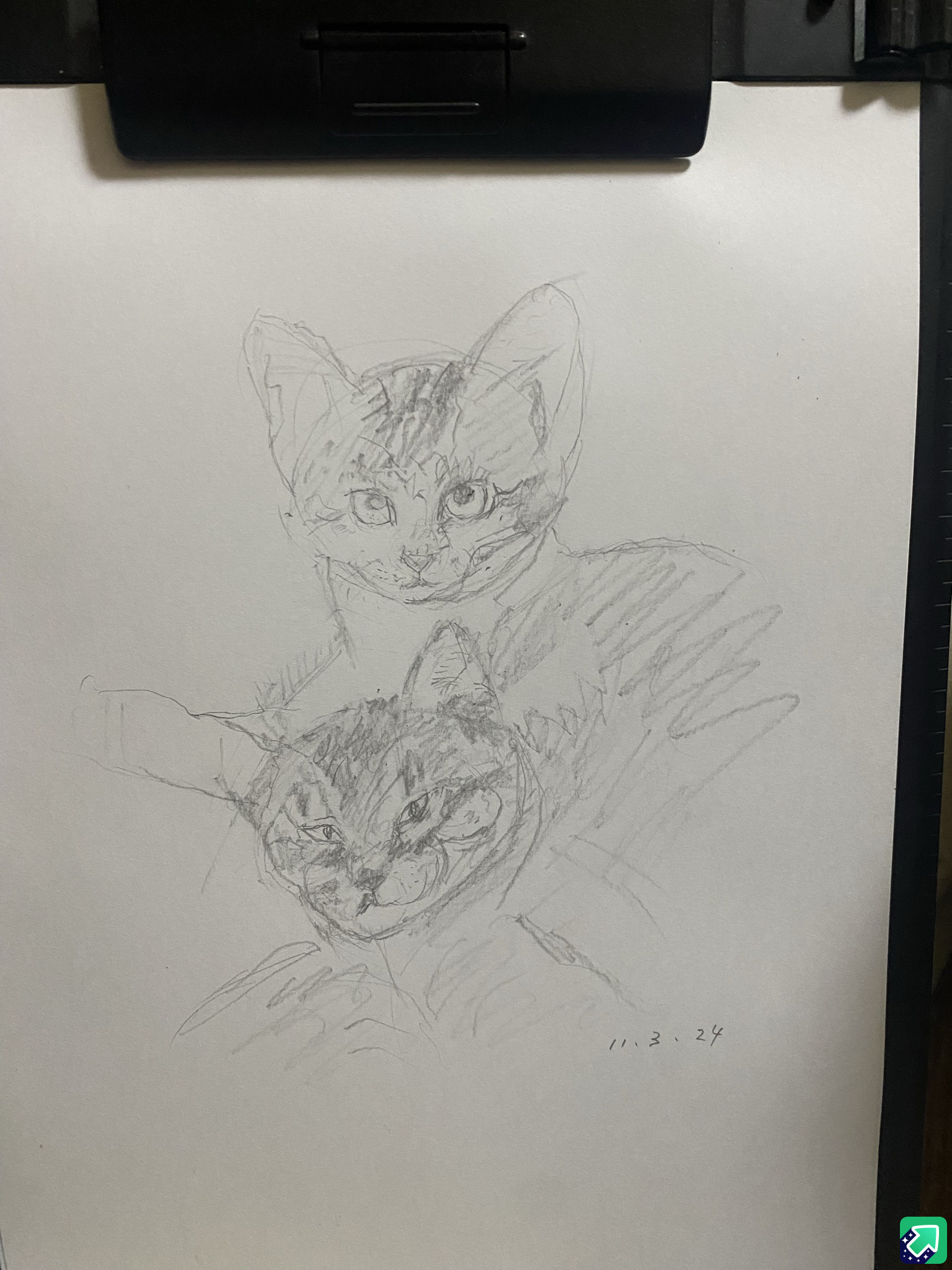 Artistic Exploration: Sketch 1103