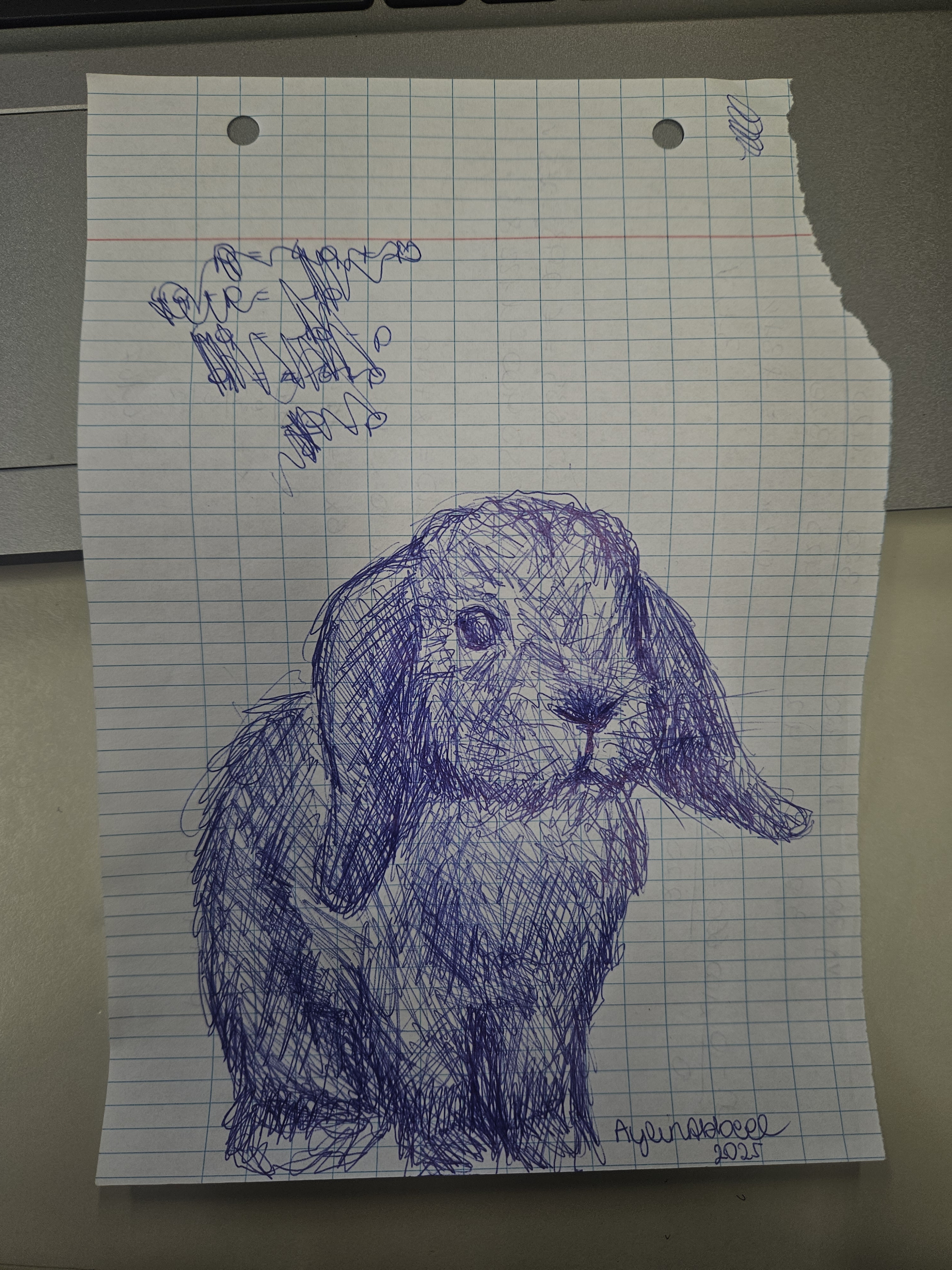 Adorable Sketch of a Bunny