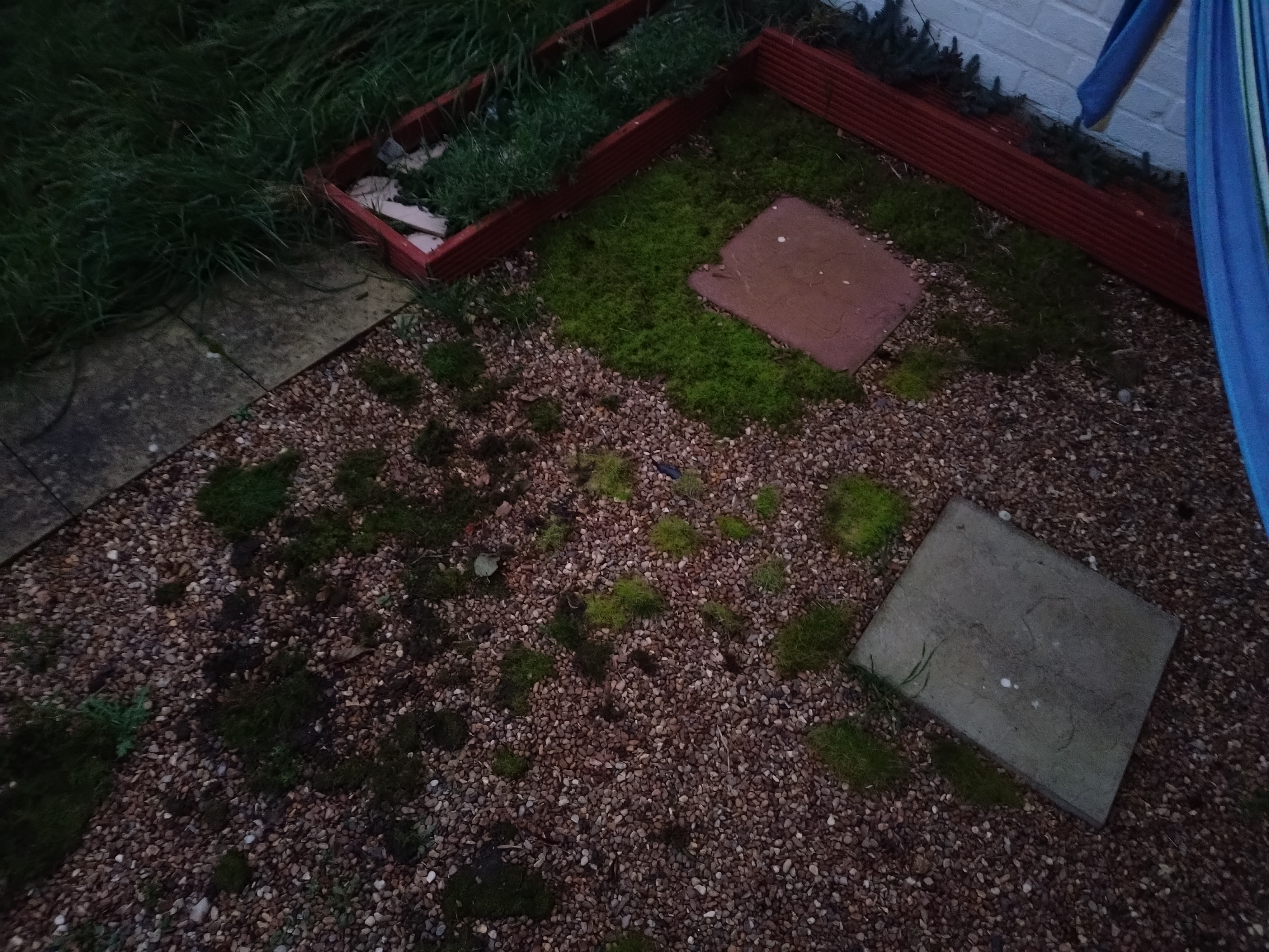 When lying in the moss and escaping reality isn't an option, you become the moss itself.