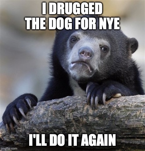 Meet my dog on a wild adventure with some unexpected energy!