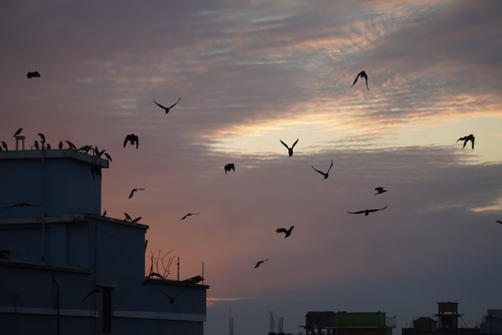 The Enchanting Hour of Sunset