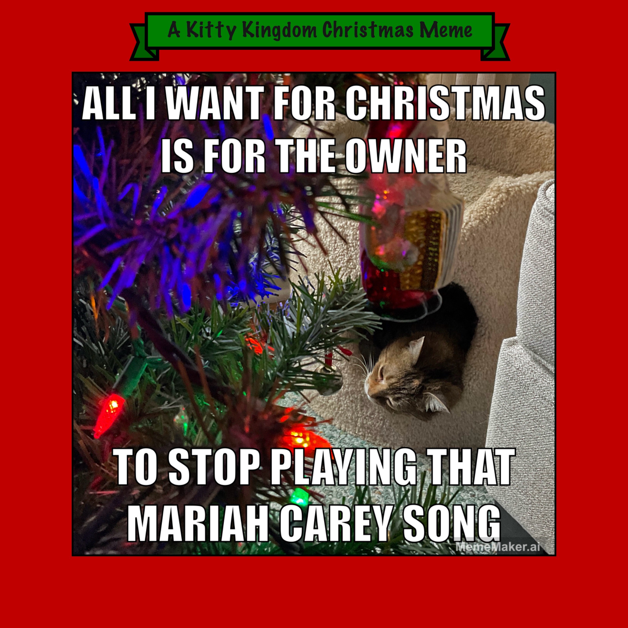 Countdown to Christmas in the Kitty Kingdom: Day 7