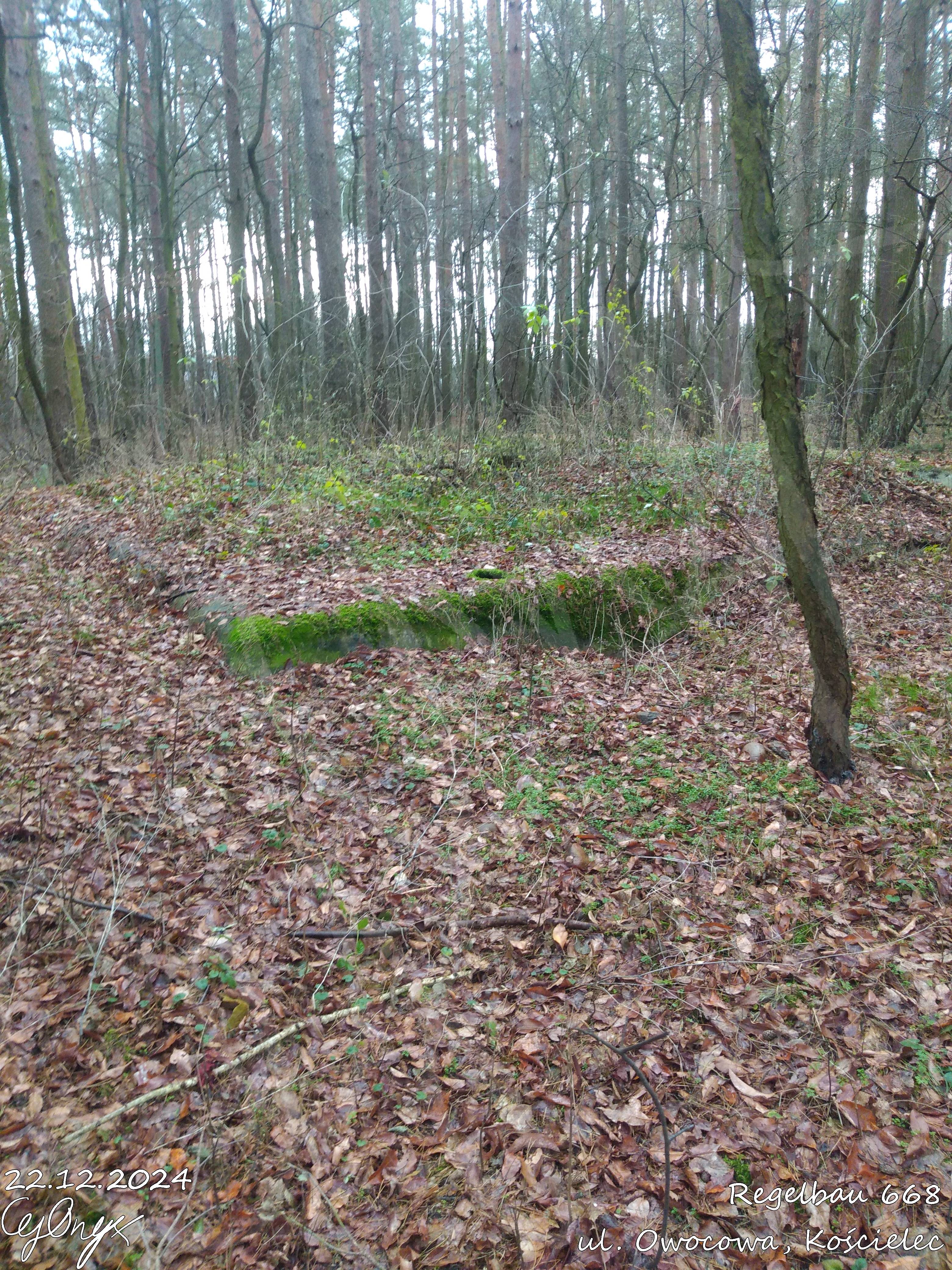 Exploring Regelbau 668 - Owocowa, Koźlicielec