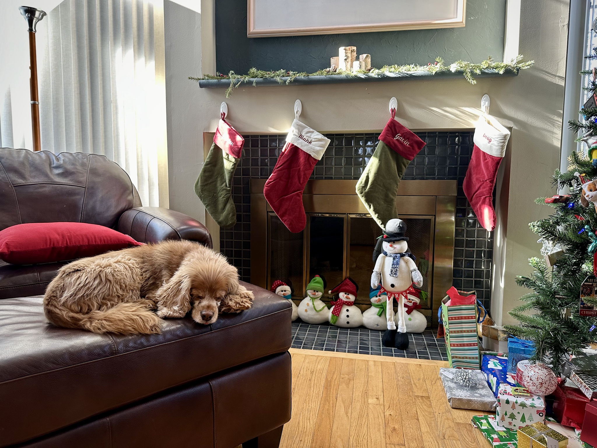 Anticipating Santa Paws' Arrival