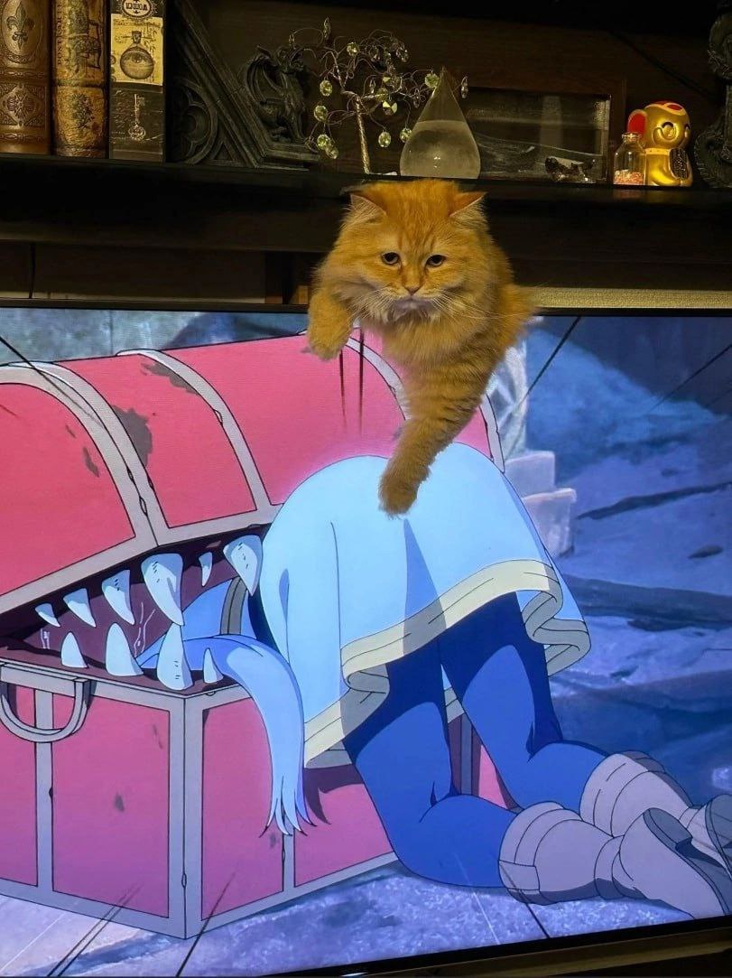 Kitties Are About to Take Over the World, Seriously!