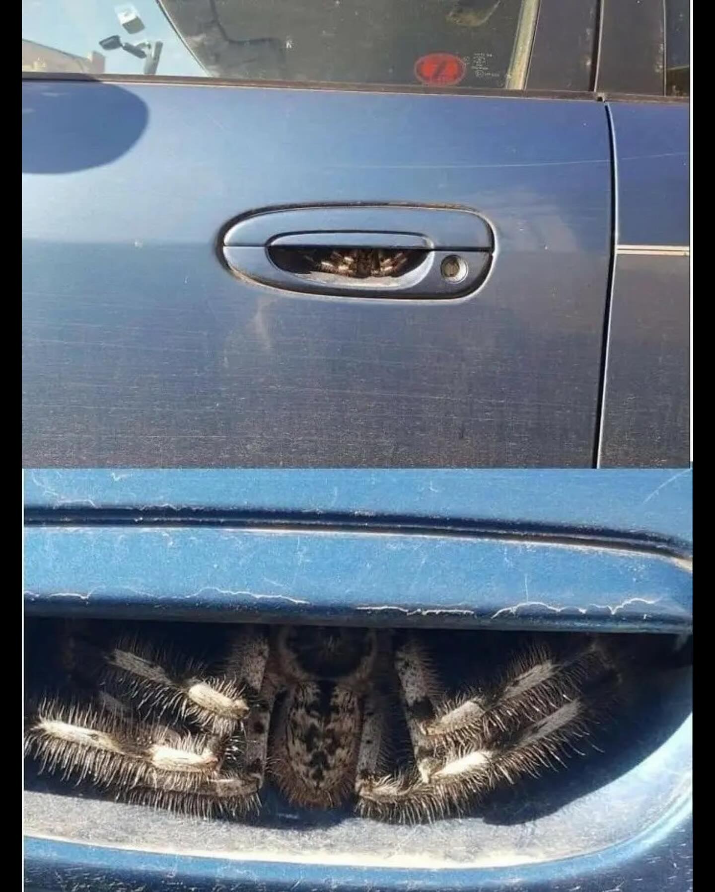 Looks Like It's Time for a New Ride!