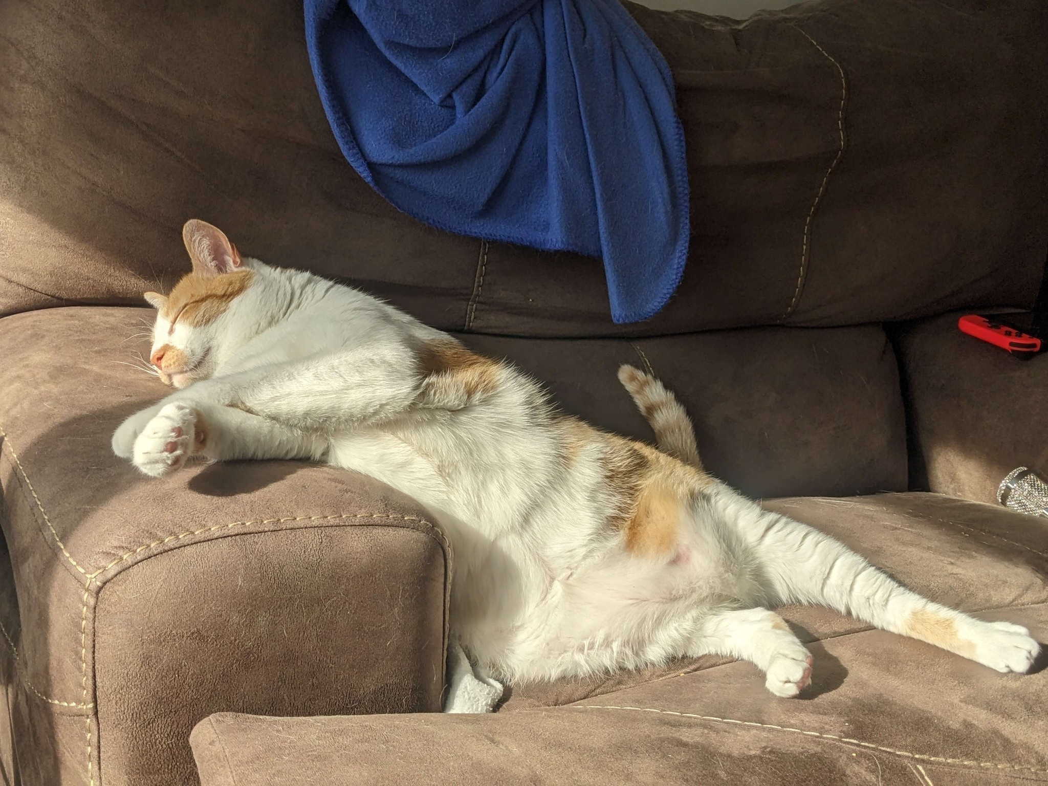 Chillin' in style