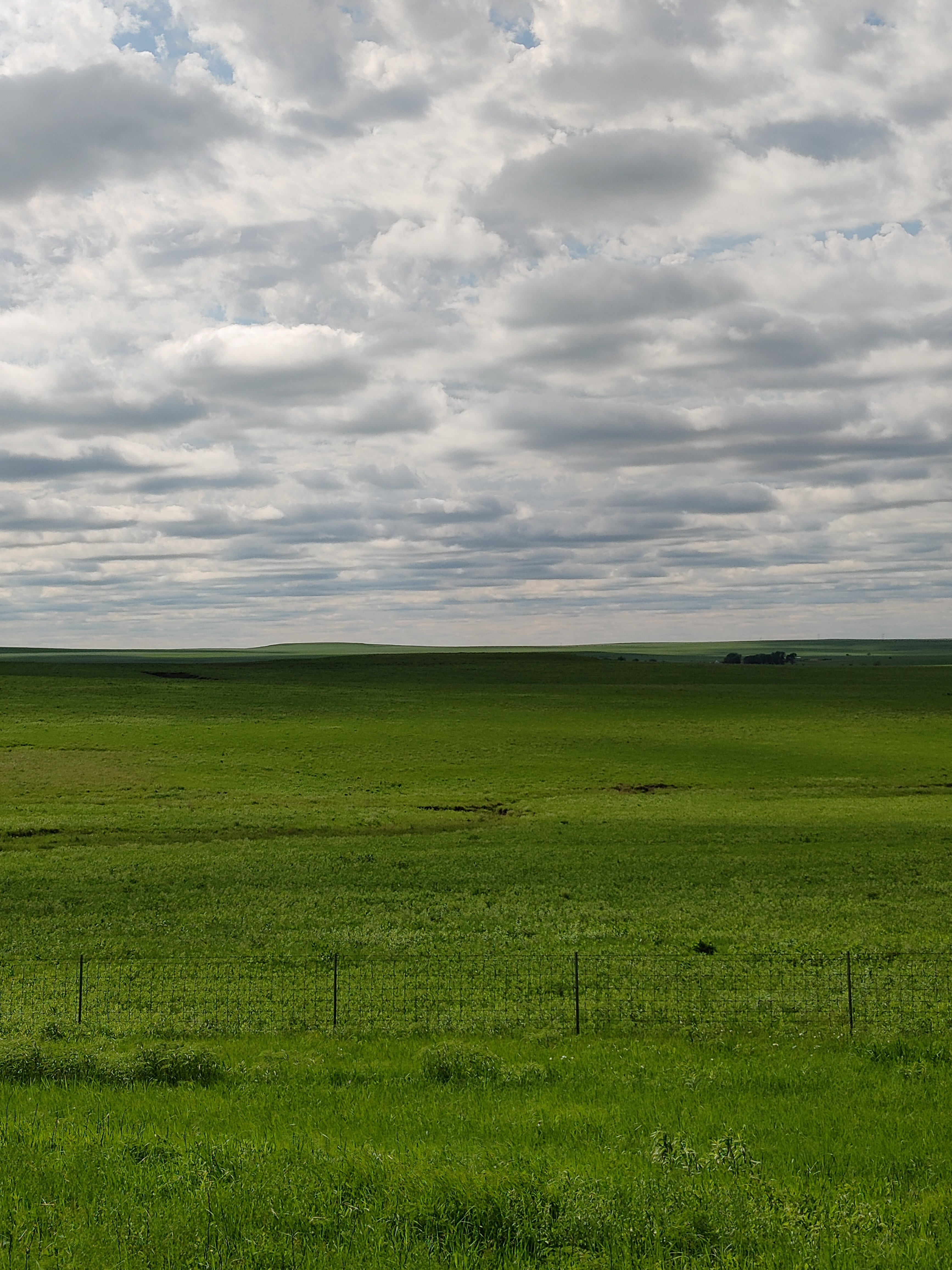 Exploring the Beauty of Flint Hills