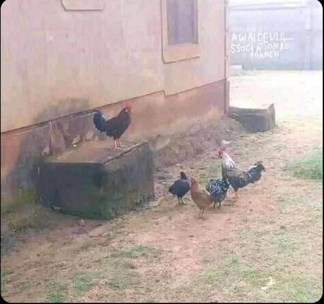 This Could Be Our Last Family Gathering Together.