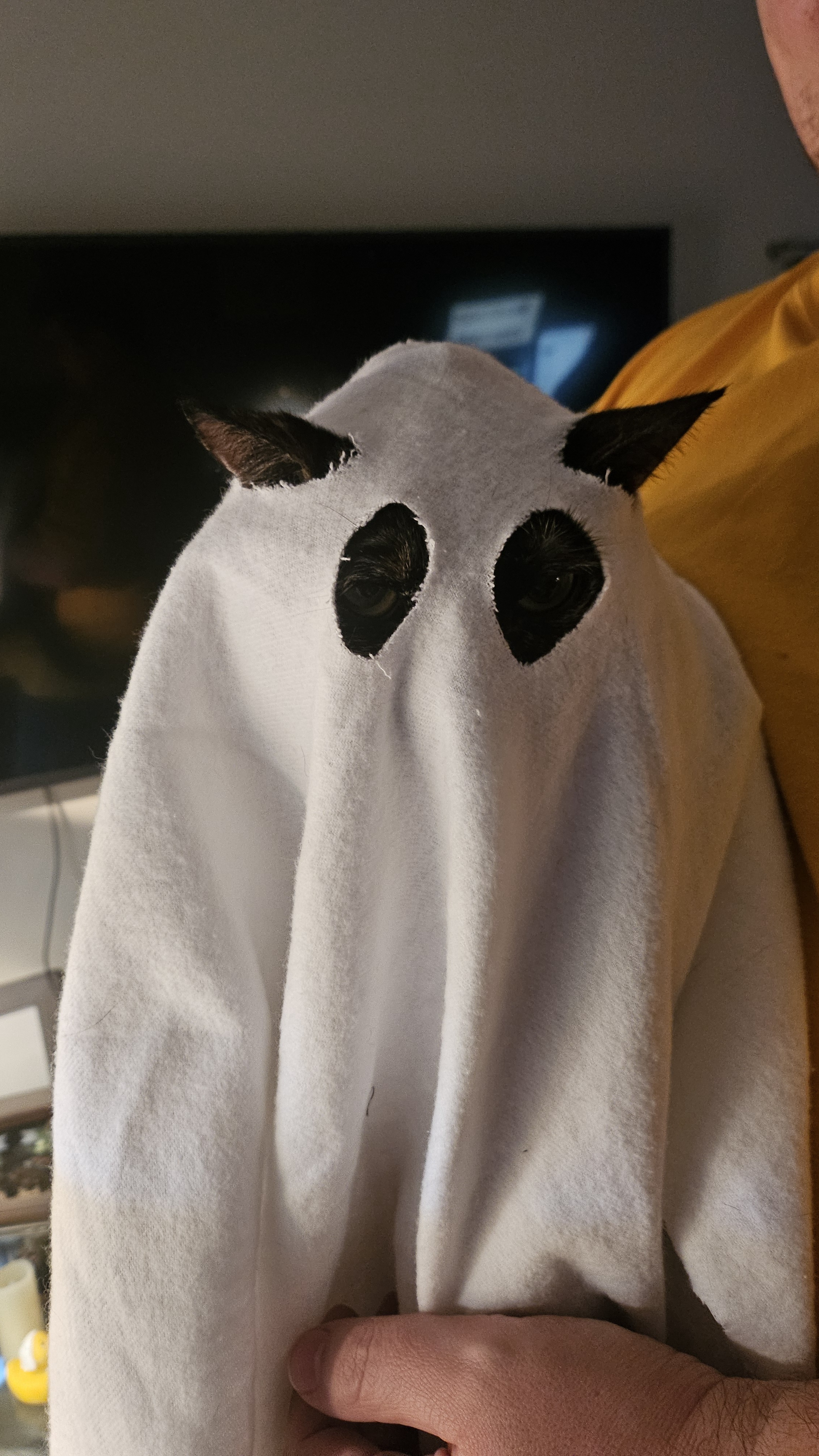 I Fear No Ghost: Embracing the Supernatural