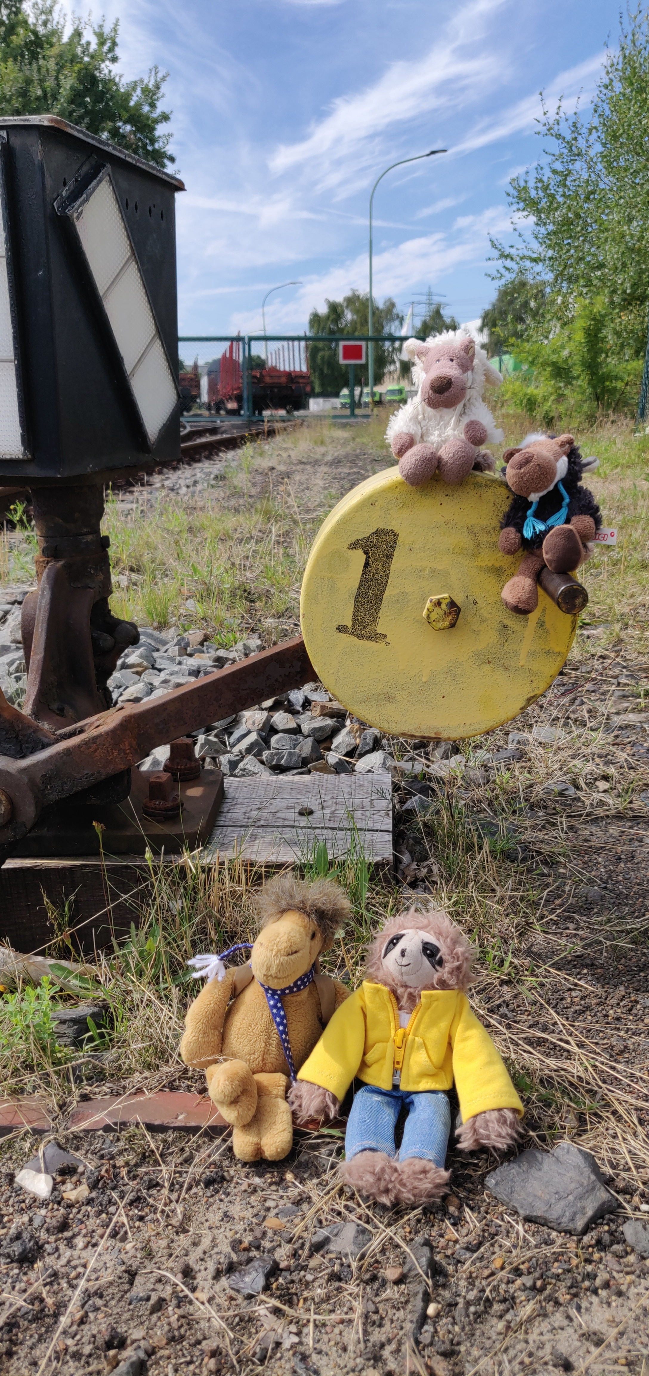 My Hobby: Taking My Plushies on Adventurous Bike Trips!