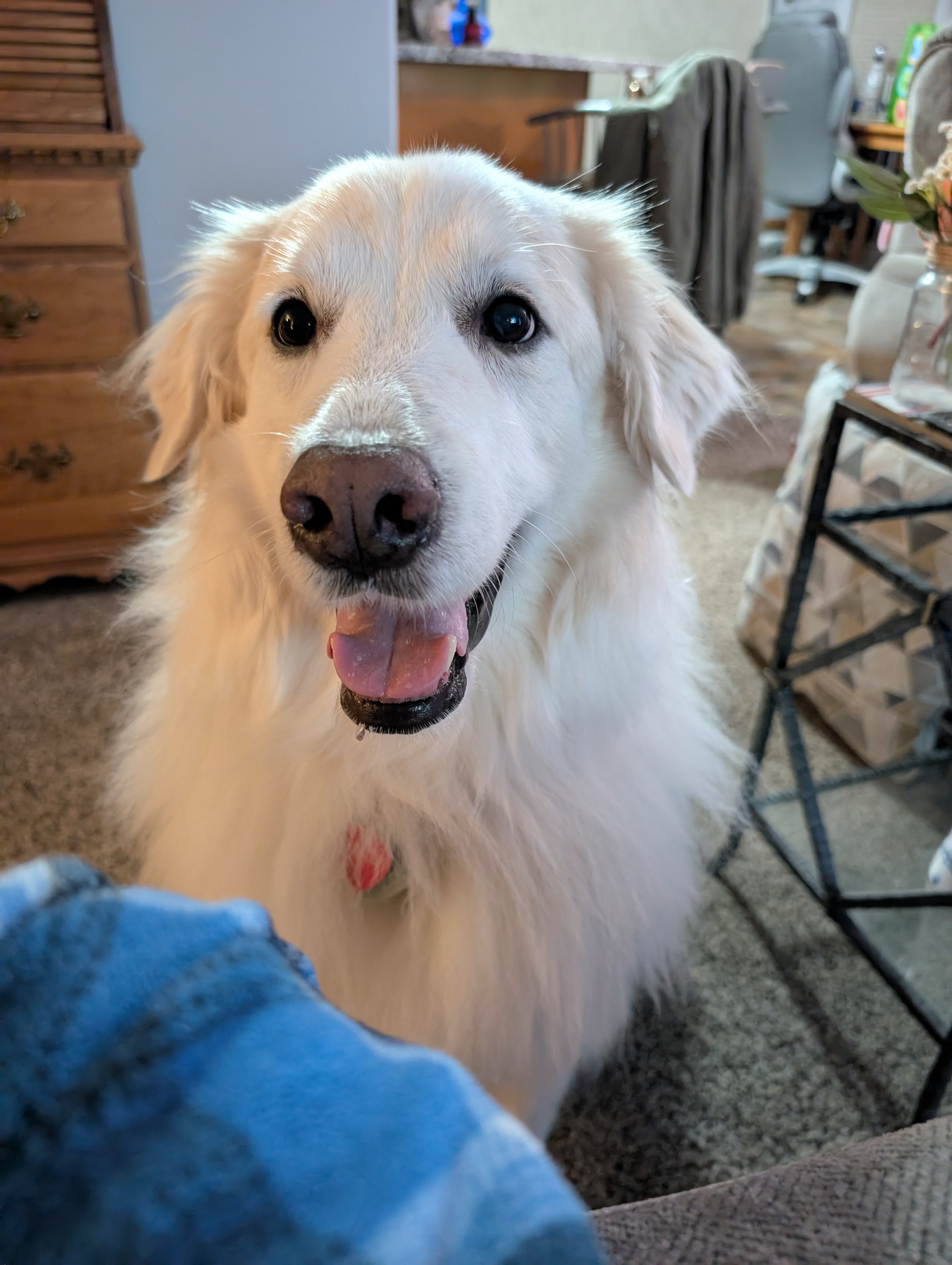 Your Daily Dose of Winter: Day 817