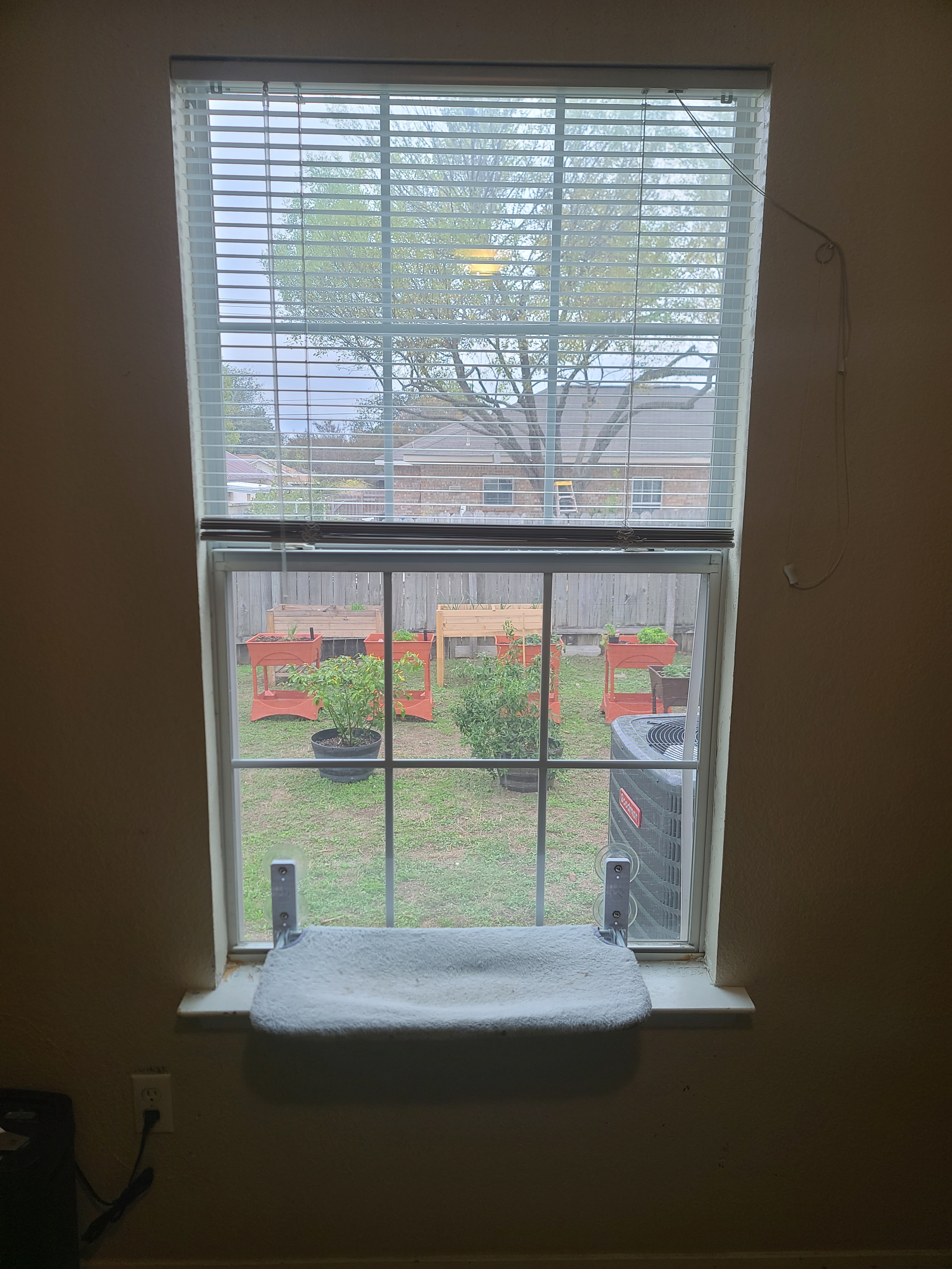 Stunning View from My Home Office: Nature's Inspiration