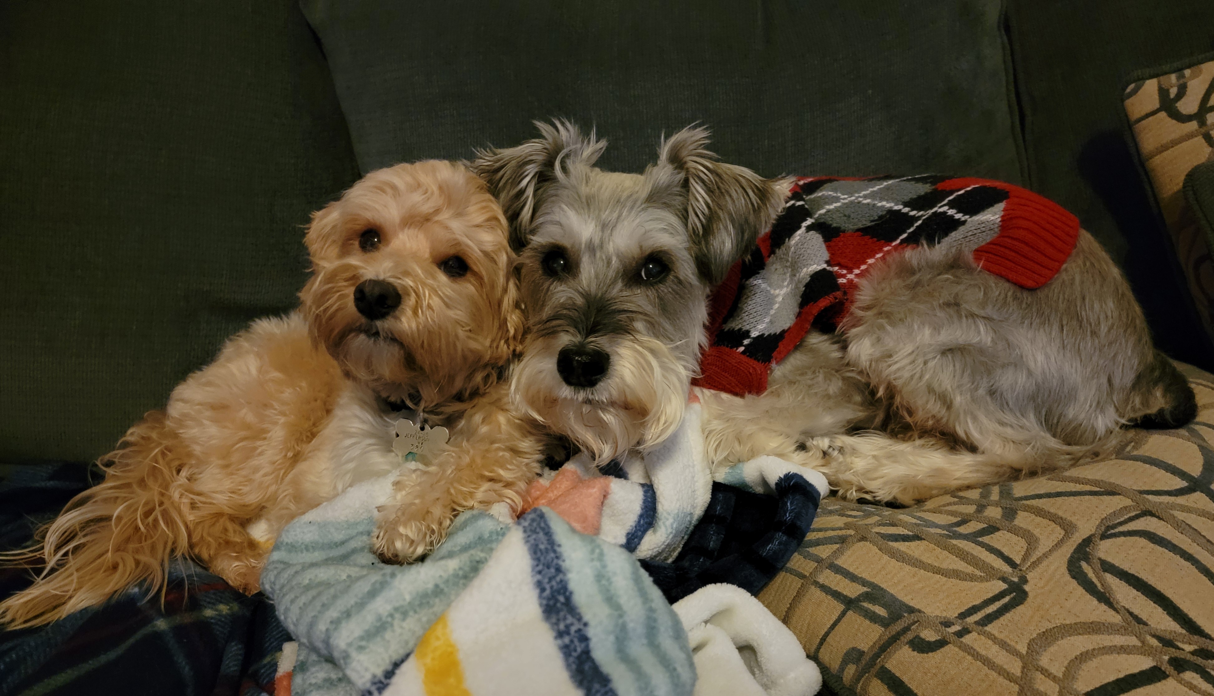 Snuggly Morning Cuddles to Start the Day Right