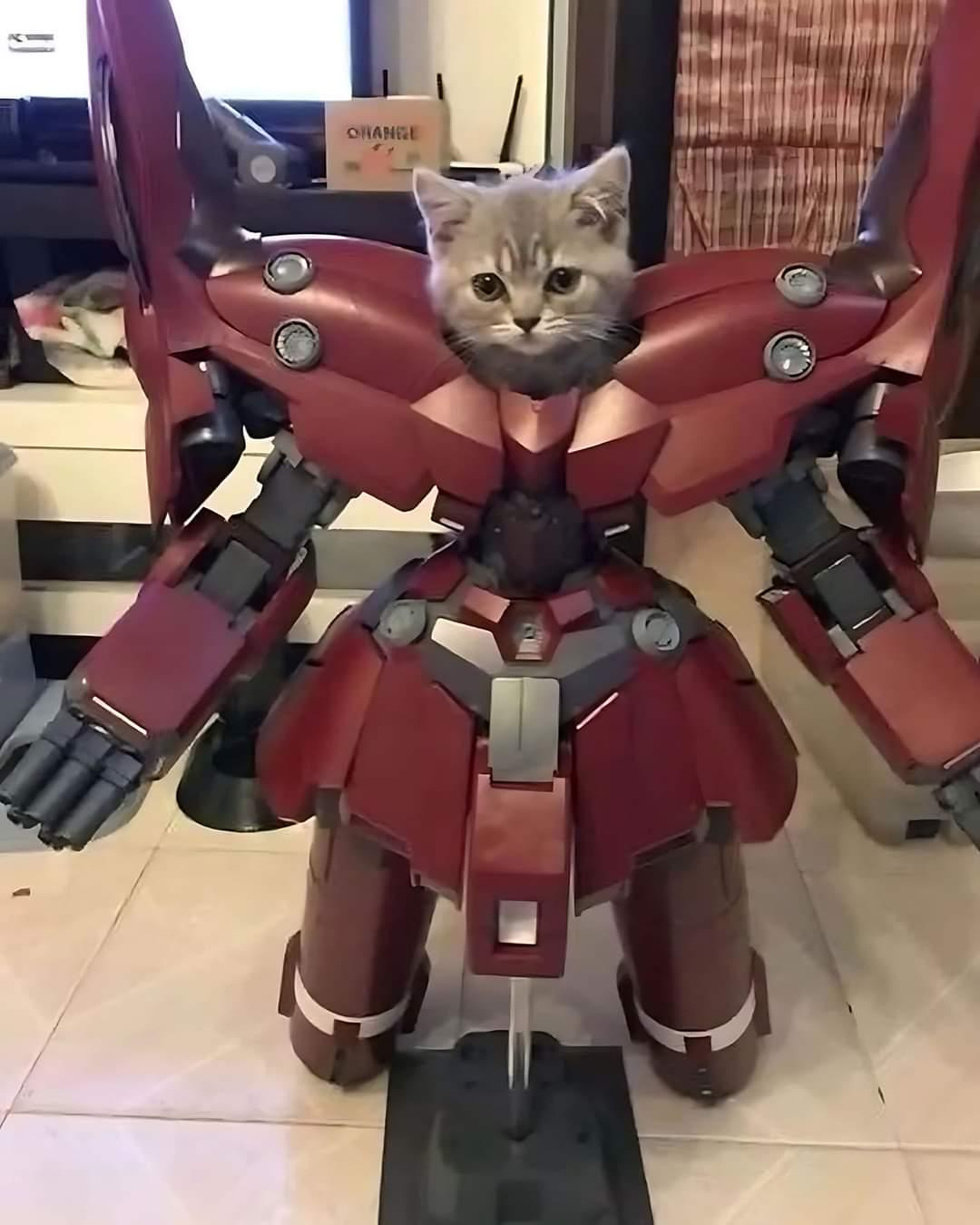 Meet the Adorable Mechakitten