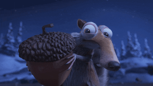 Behold My Precious Acorn