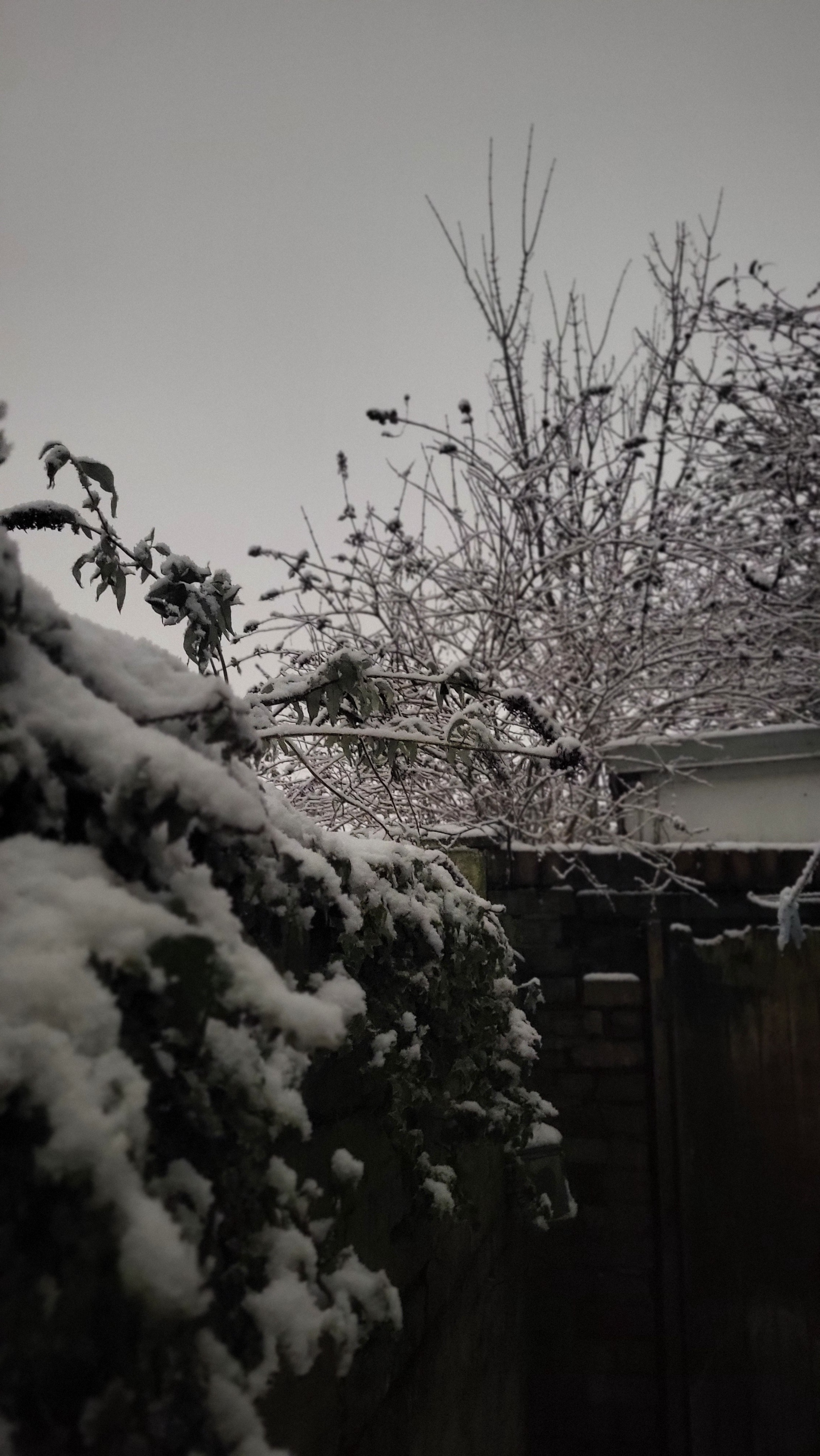 A complete whiteout moment.