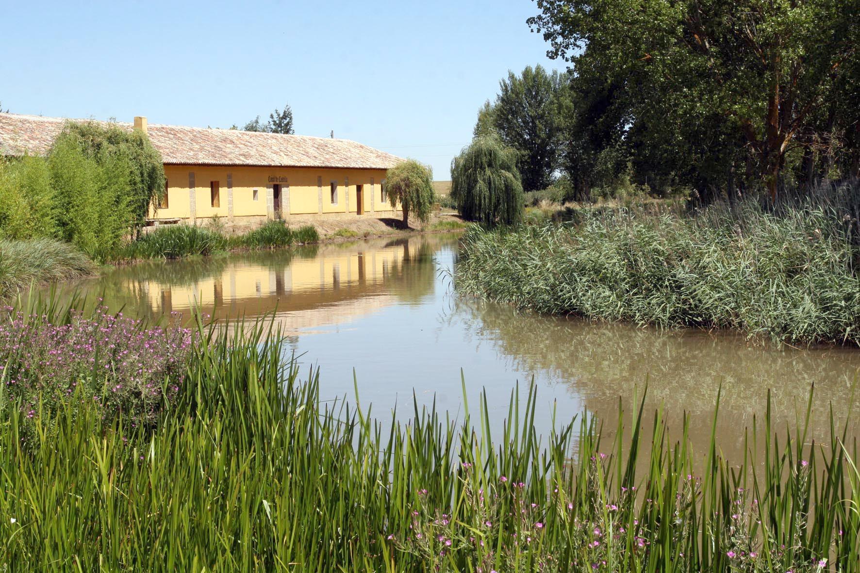 Frómista: A Hidden Gem in Palencia, Spain