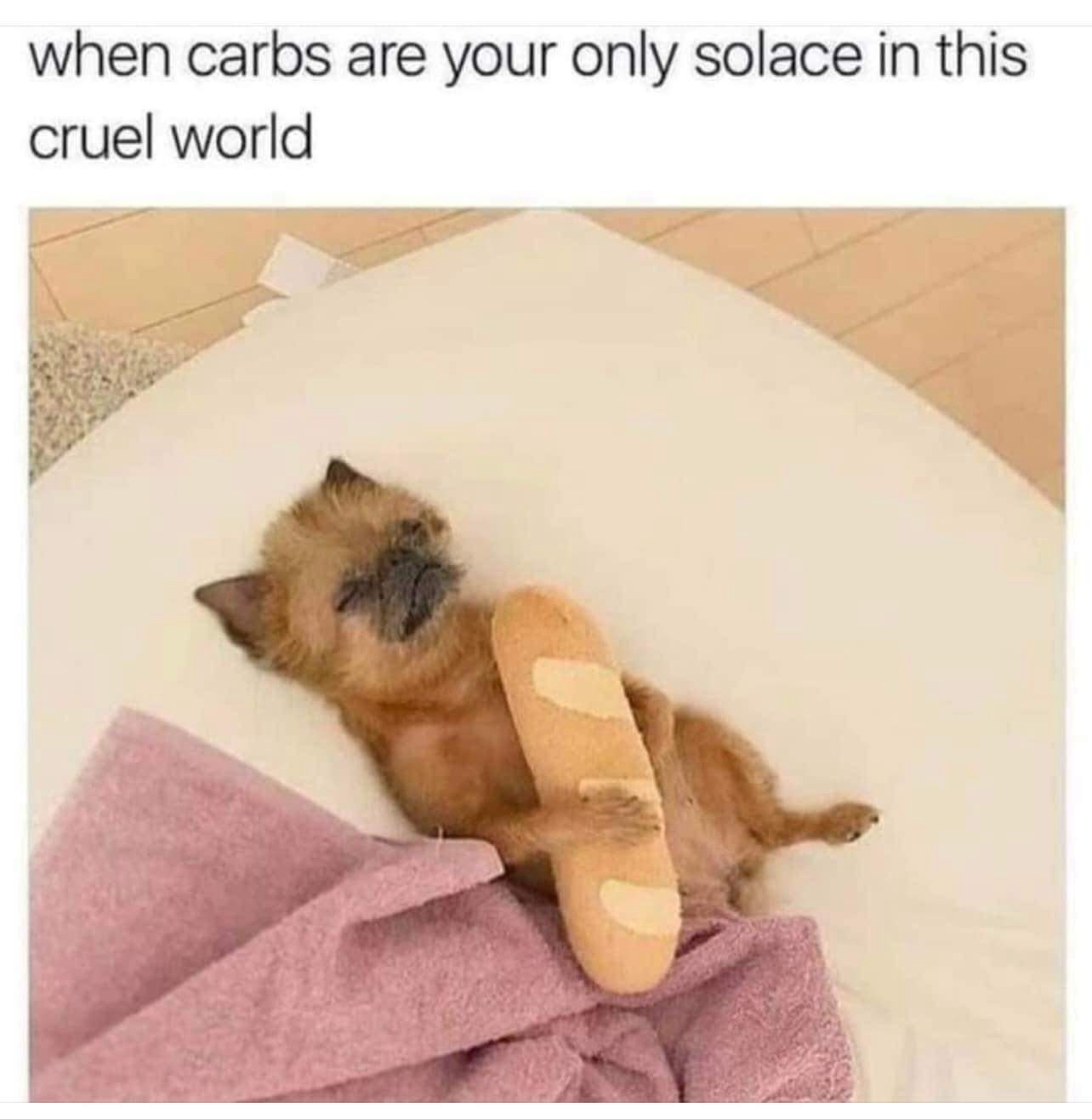 Carbs are life!