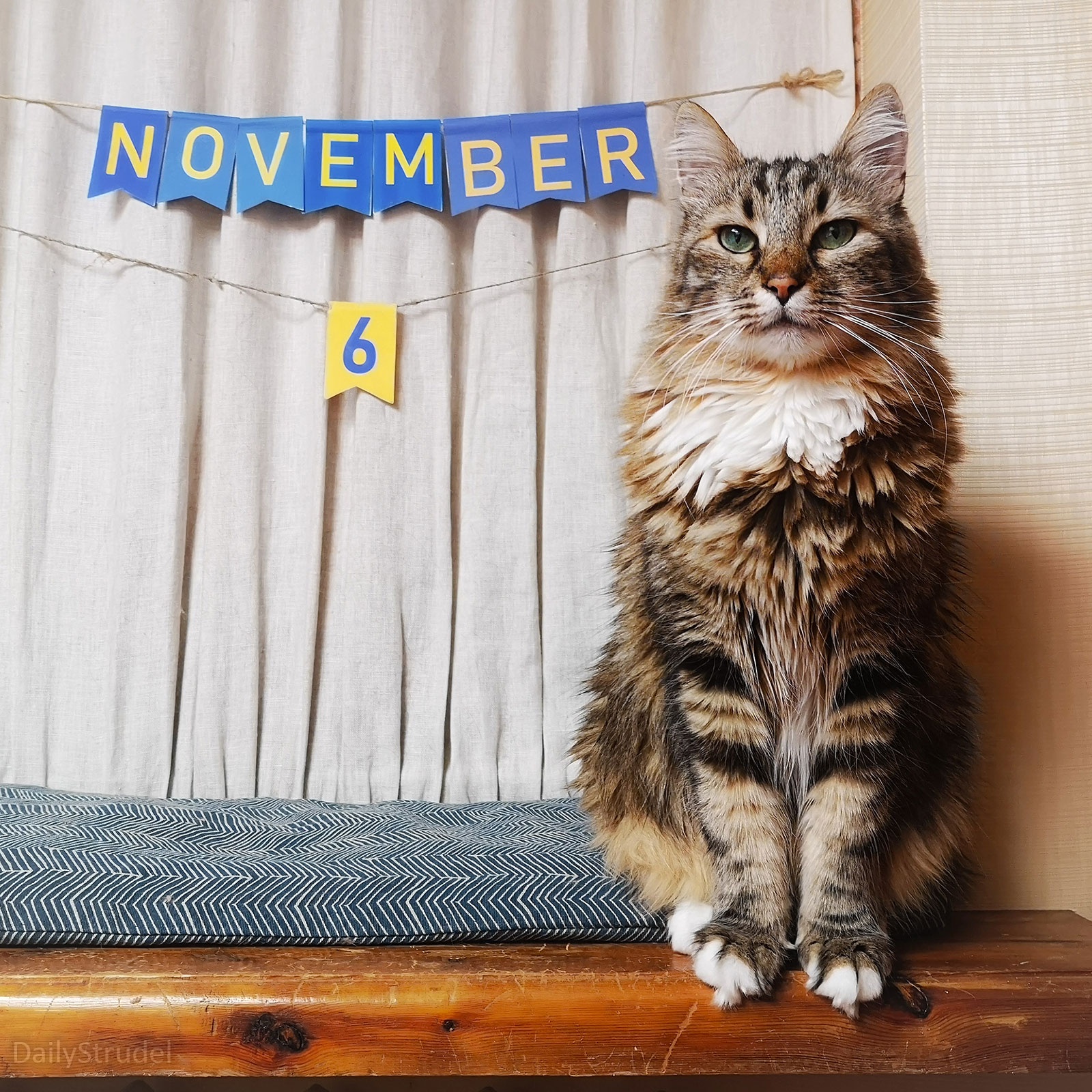 Mark your calendars for November 6
