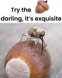 Indulge in My Delightfully Salty Nuts!