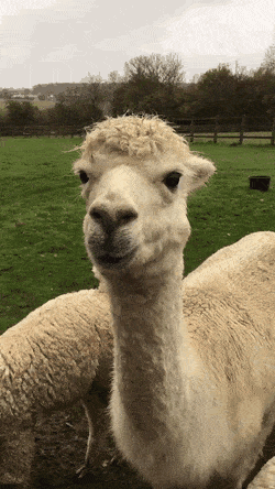 What's Up, Everyone?