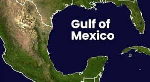 Discovering the Wonders of the Gulf of Mexico