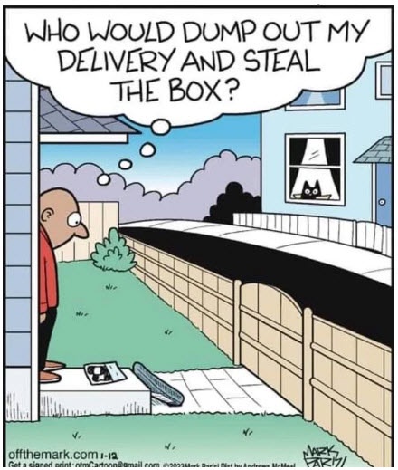Watch Out! There's a Package Thief in Your Neighborhood!