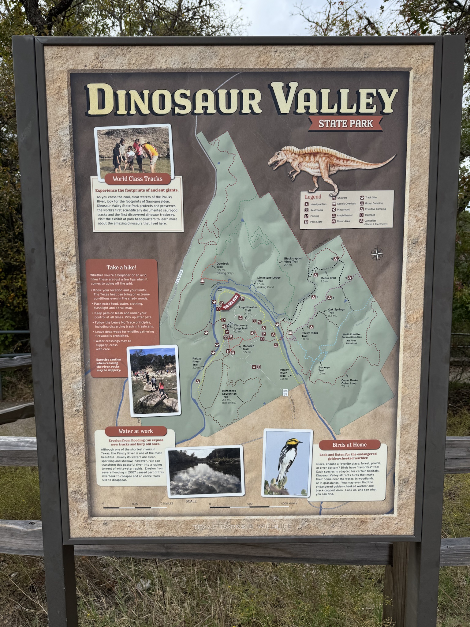 Join Us for an Early Sunday Dino Hike Adventure!