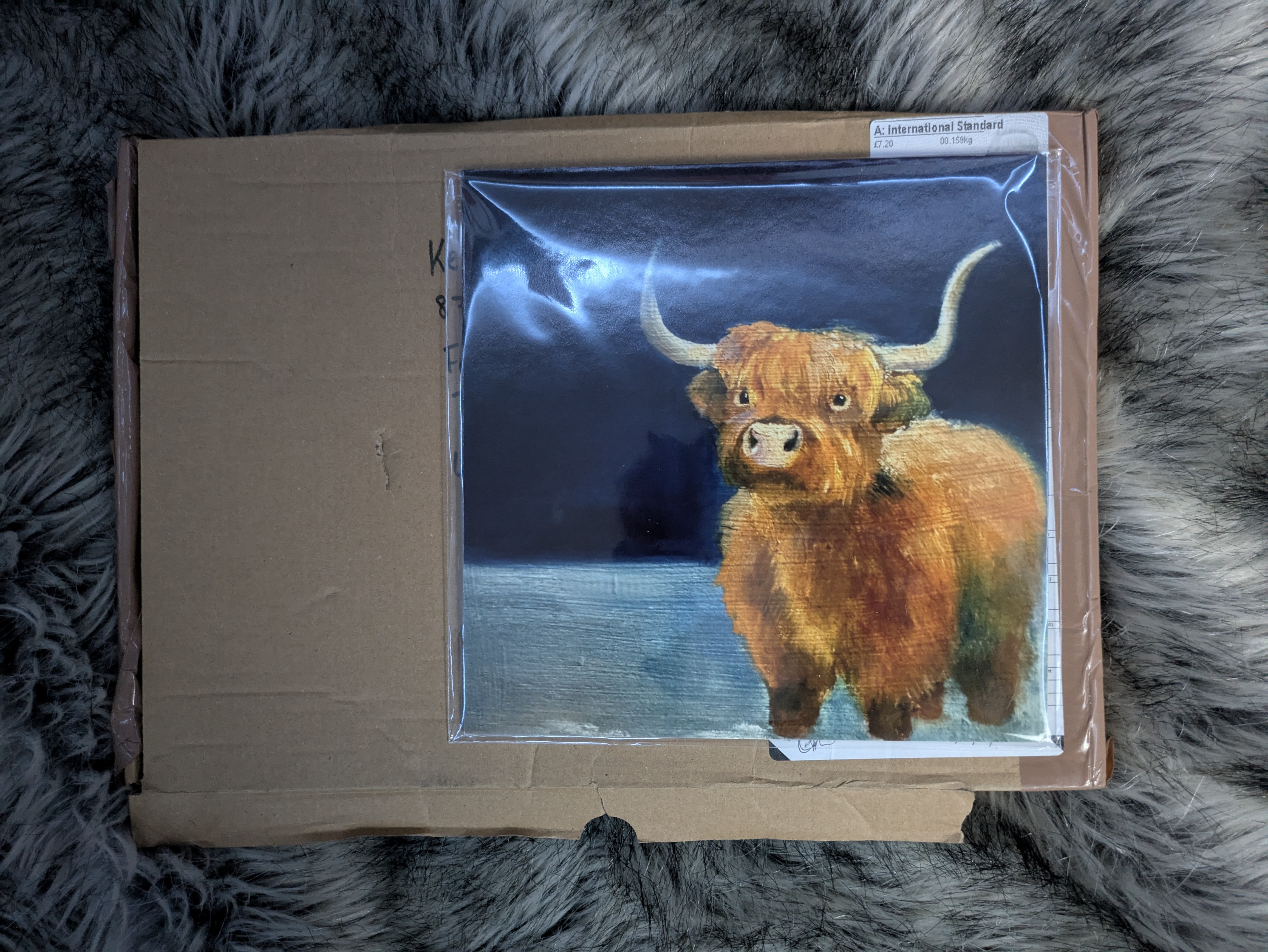 Received My Print from a Talented Imgur Artist!