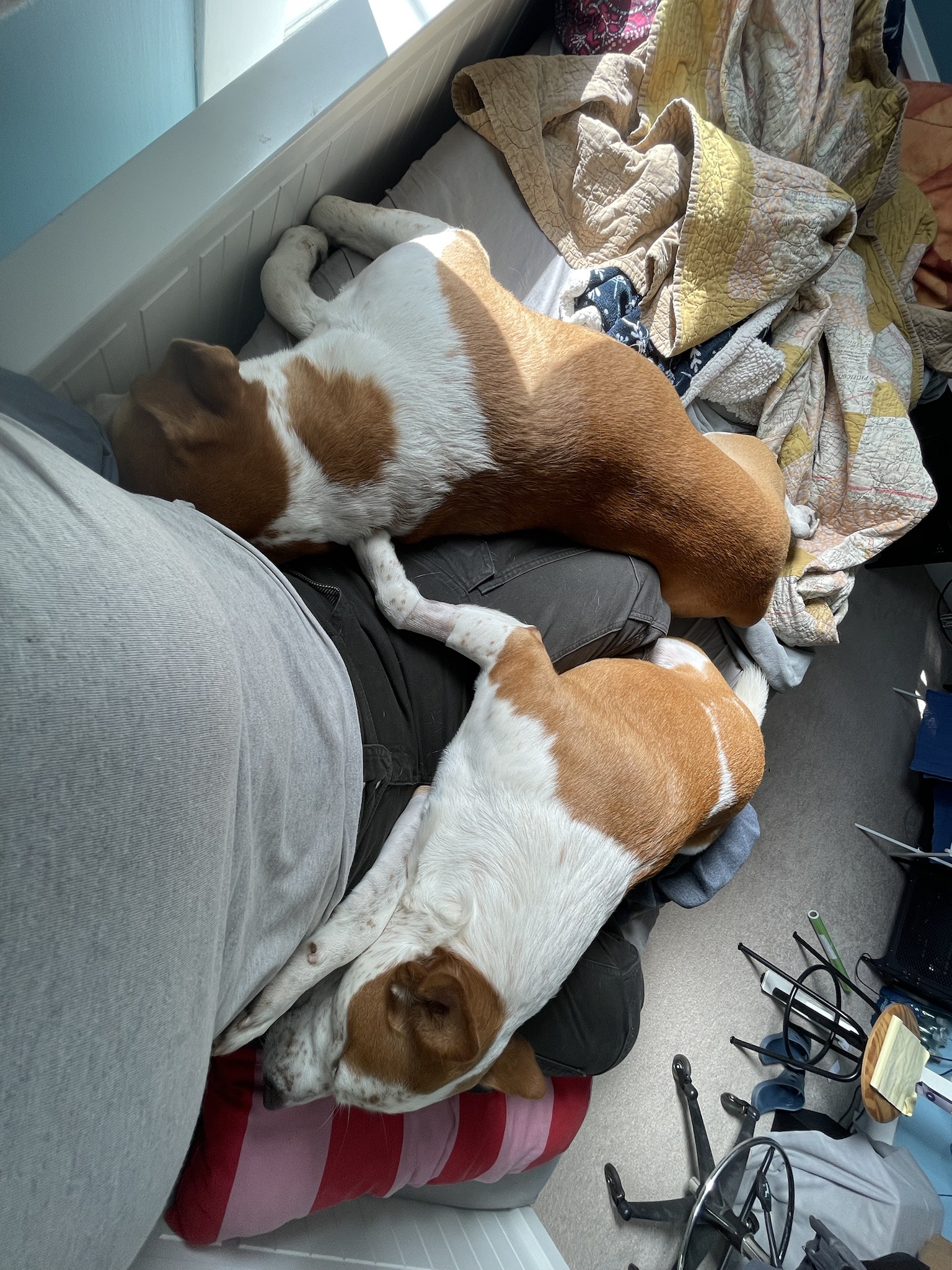 When You Really Want to Be Productive But Life Says Nope