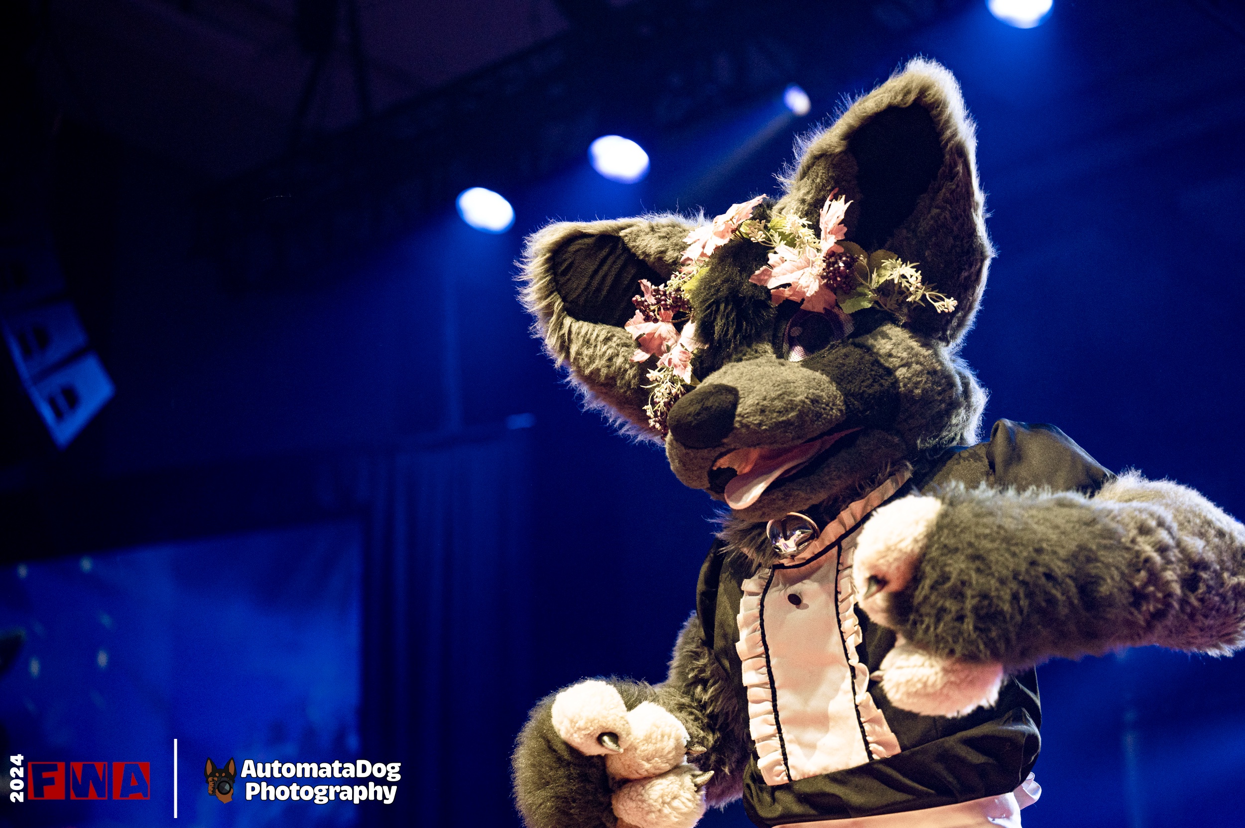 A Daily Snapshot from a Furry Photographer - Day 395
