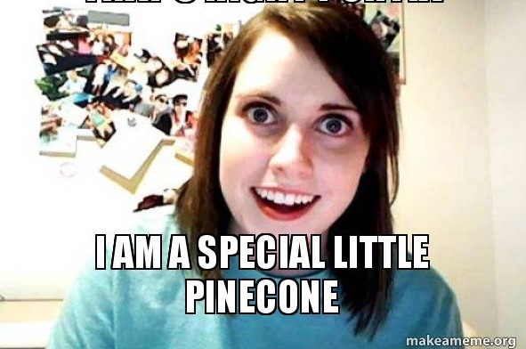 Oh Pinecone, What Have We Here!