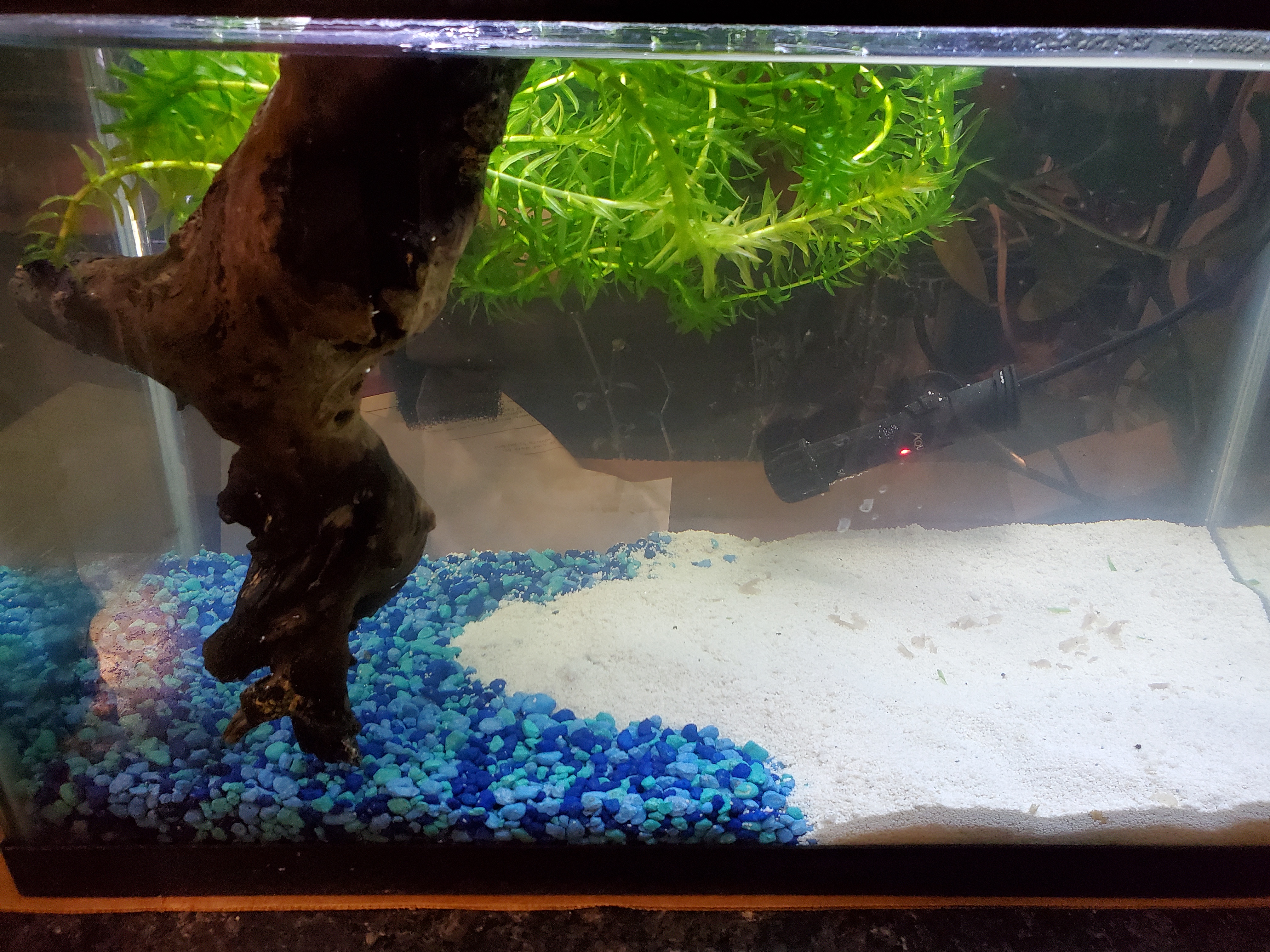 My $100 Challenge: Can I Handle This 10-Gallon Retail Adventure?