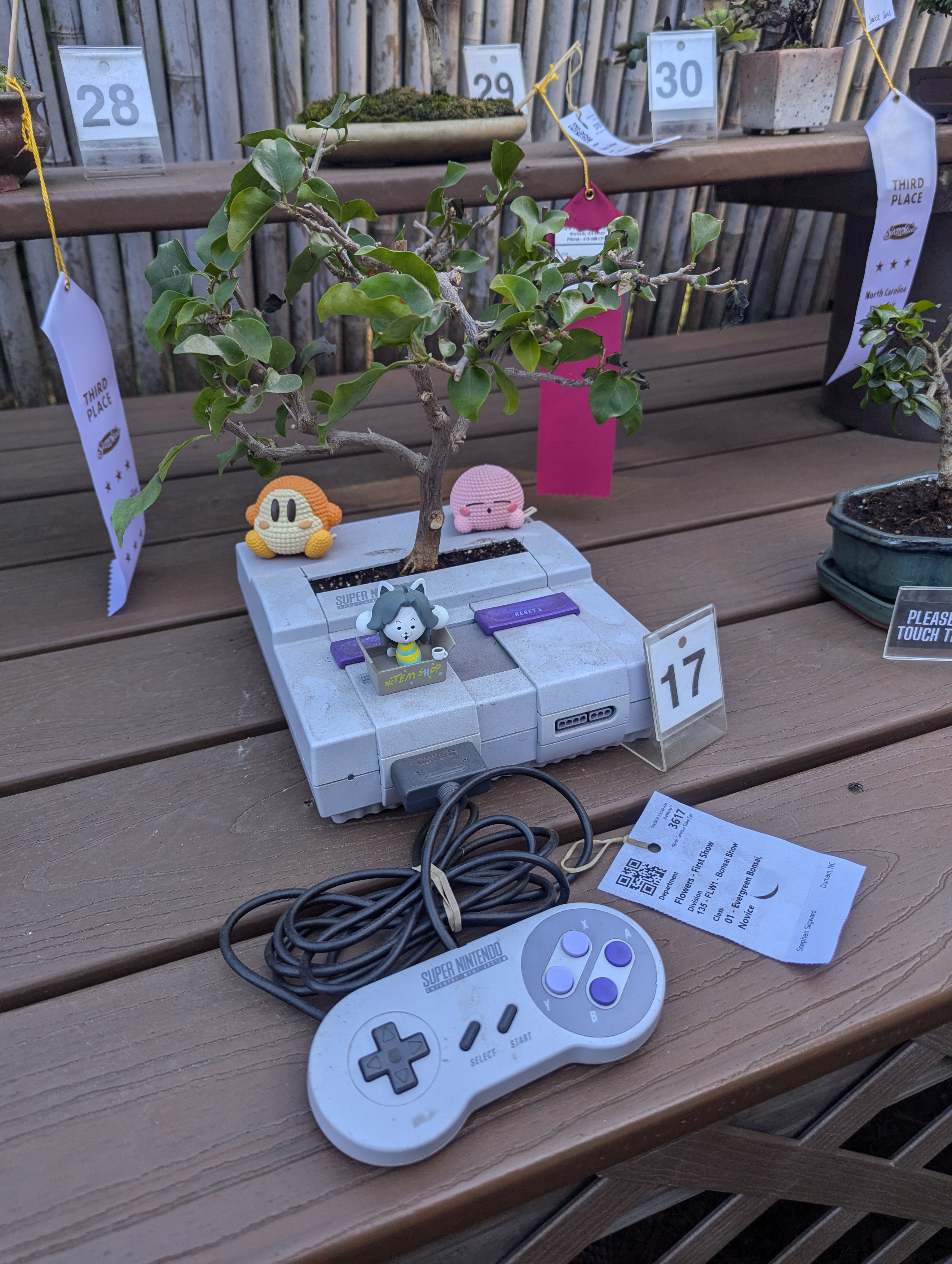 Introducing the Ultimate Bonsai Entertainment System