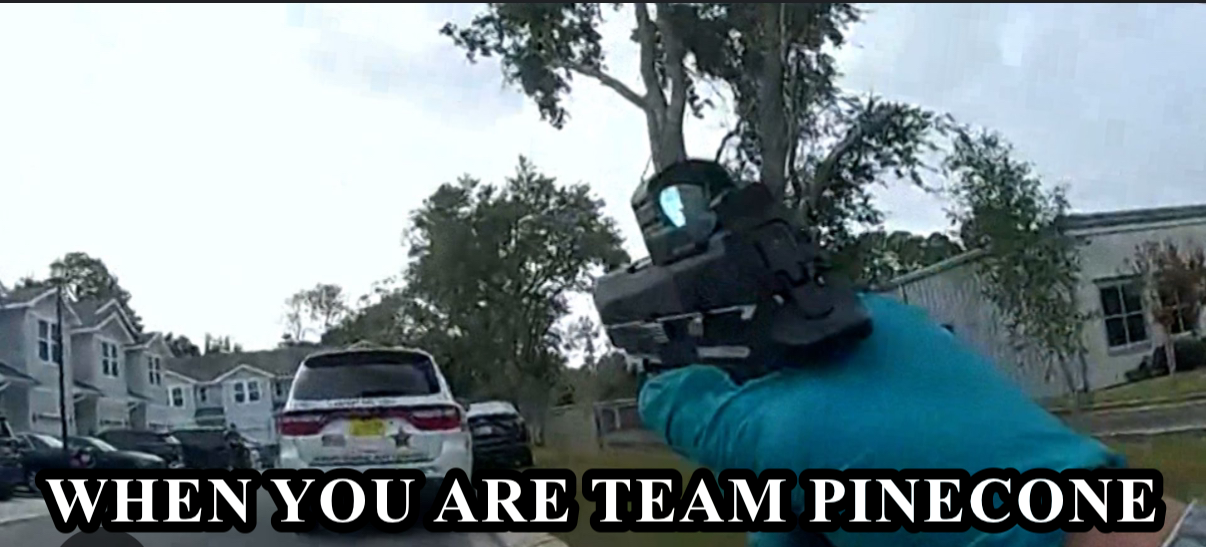 Whoa, Team Pinecone, maybe dial it back a notch!