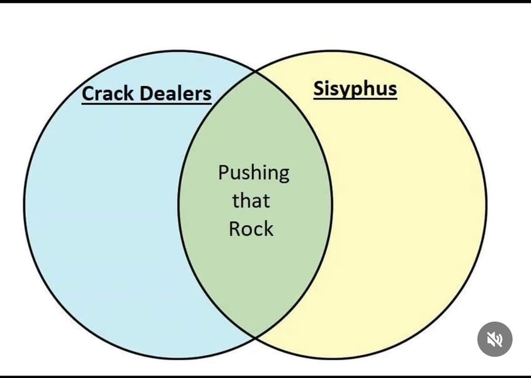 Exploring Connections with a Venn Diagram