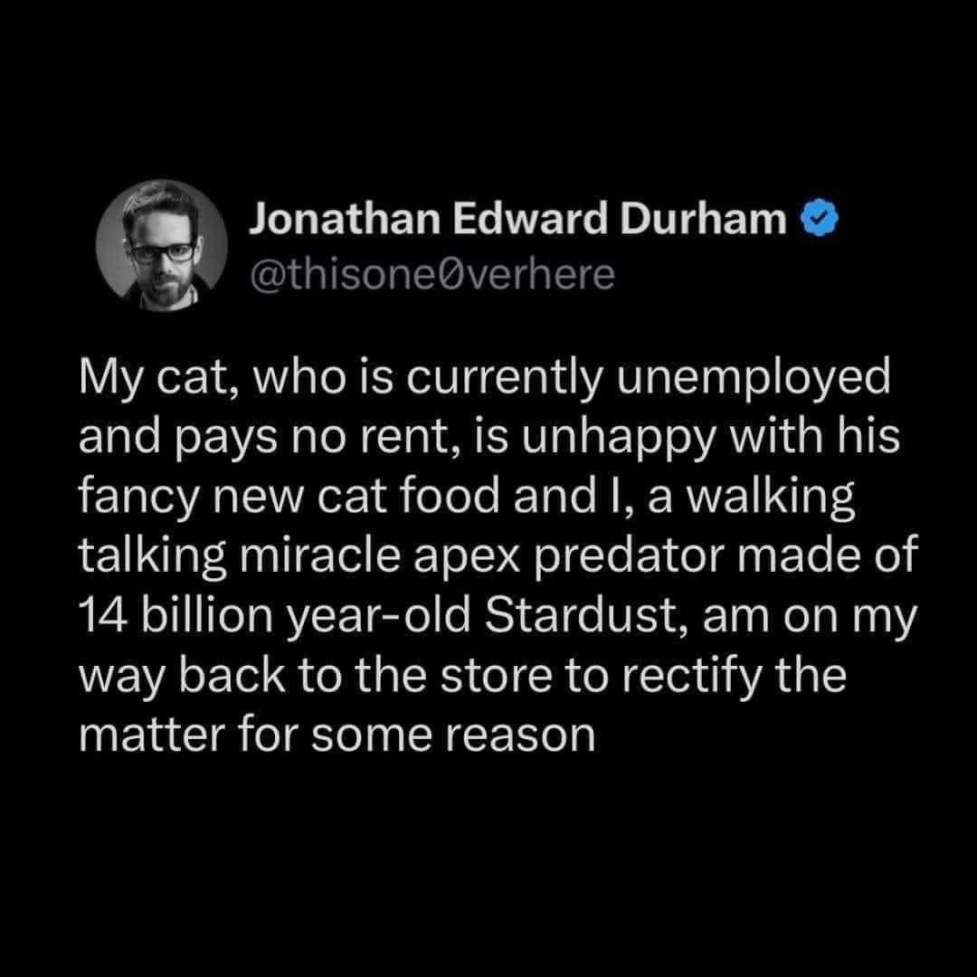 The Commanding Canine: 'Feed Me, Slave.'