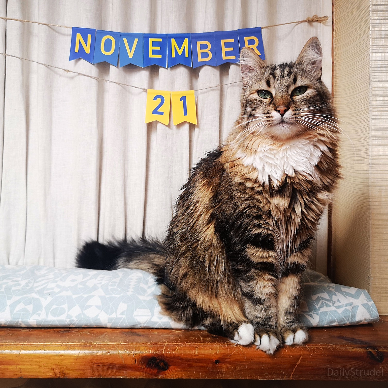 Mark Your Calendar for November 21